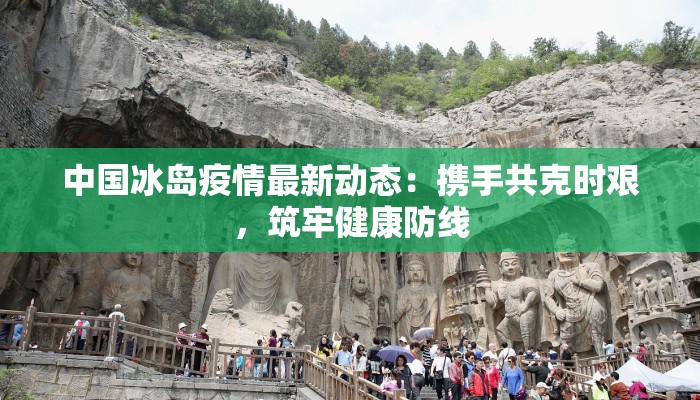 中国冰岛疫情最新动态：携手共克时艰，筑牢健康防线