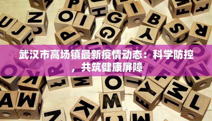 武汉市高场镇最新疫情动态：科学防控，共筑健康屏障