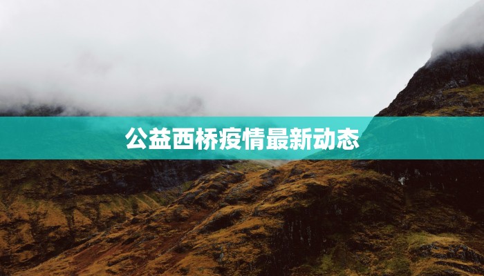 最新沈阳沈北疫情情况：守护健康，沈阳有我有你