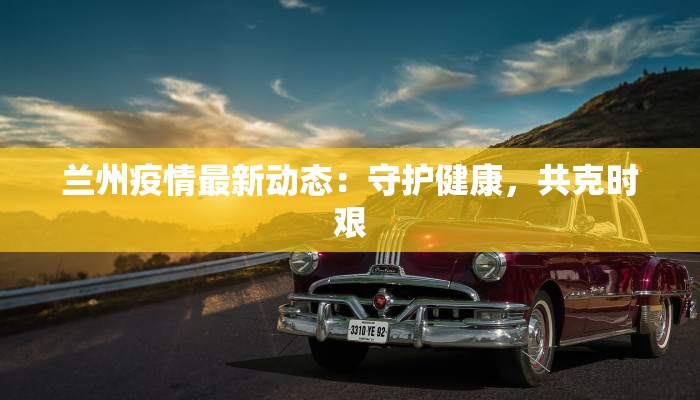 云南打洛：疫情下的韧性与新生