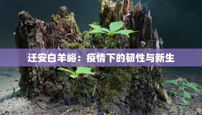 汤阴最新疫情播报情况