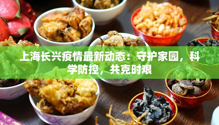 上海长兴疫情最新动态：守护家园，科学防控，共克时艰
