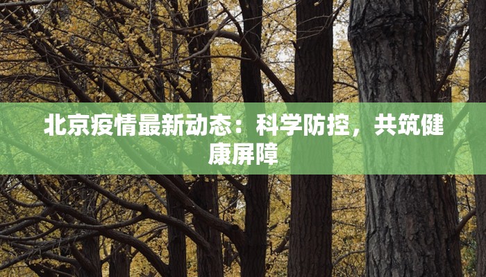 北京疫情最新动态:科学防控,共筑健康屏障 北京疫情最新动态:科学防控,共筑健康屏障