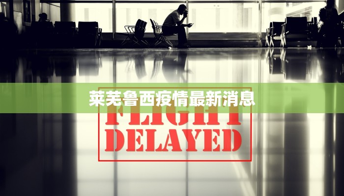 莱芜鲁西疫情最新消息