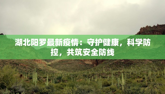 湖北阳罗最新疫情：守护健康，科学防控，共筑安全防线