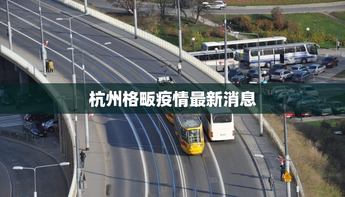 杭州格畈疫情最新消息