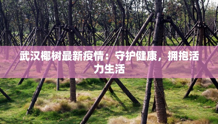 武汉椰树最新疫情：守护健康，拥抱活力生活