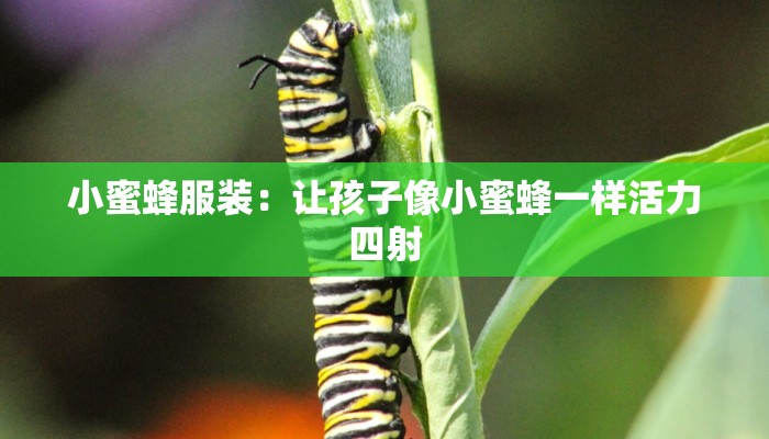 小蜜蜂服装：让孩子像小蜜蜂一样活力四射