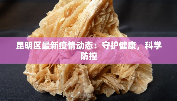 昆明区最新疫情动态:守护健康,科学防控 昆明区最新疫情动态:守护健康,科学防控